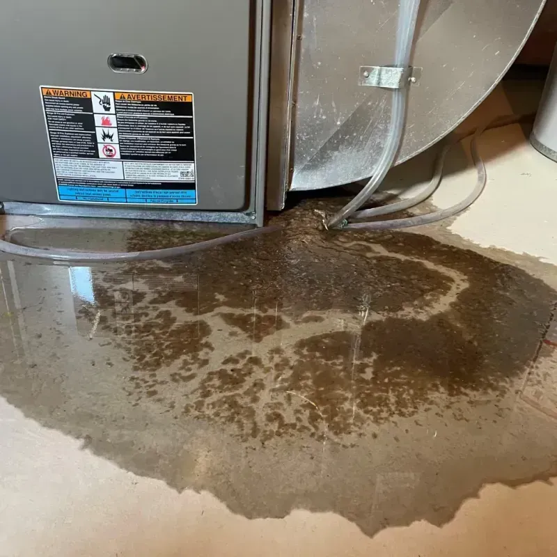 Appliance Leak Cleanup in Alachua County, FL